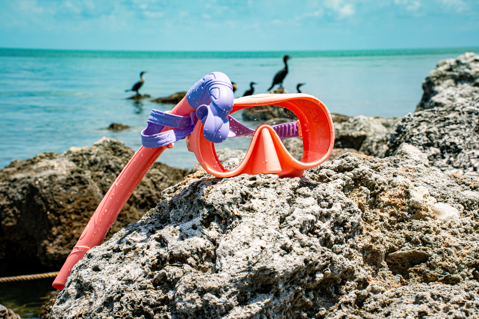 How to choose your first snorkel mask