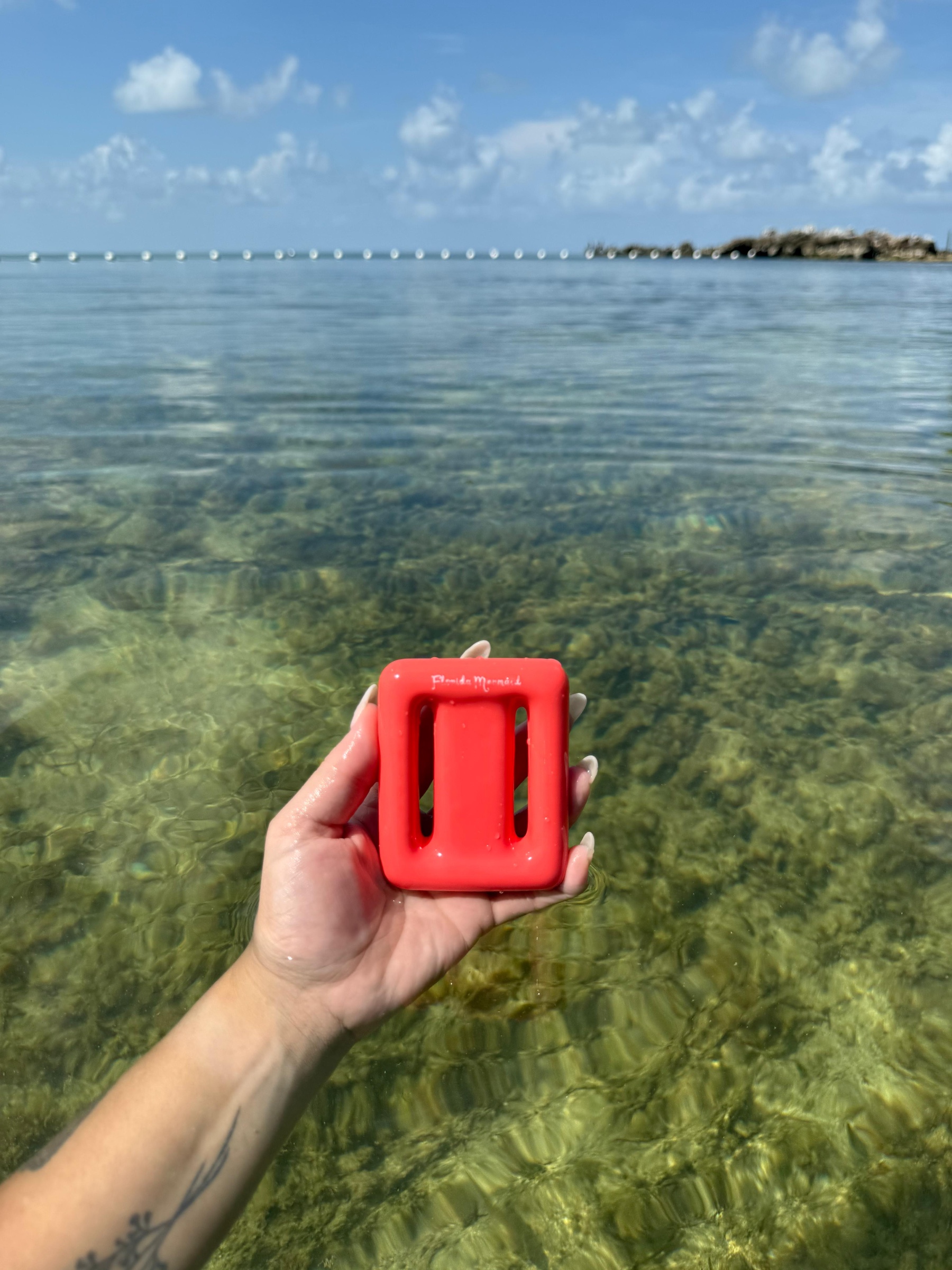 Dive Gear Tangerine Tide Dive Weight